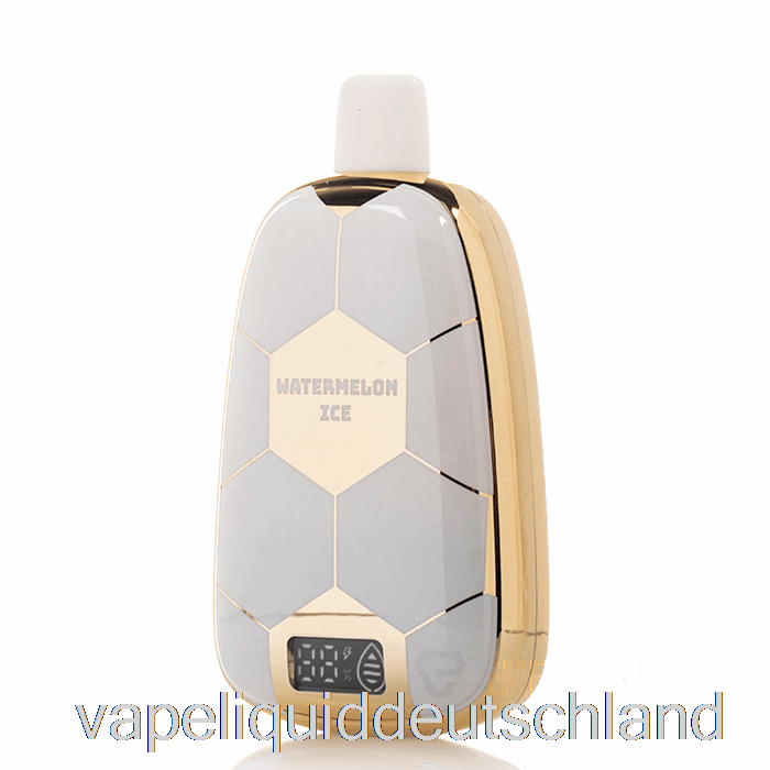 Ronaldinho 10 15k Einweg-Wassermelonen-Eis-Vape-Flüssigkeit